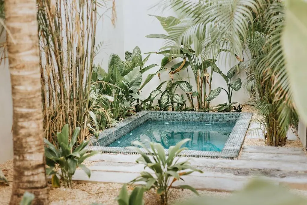 Architectonic Masterpiece Villa, 5 Bedroom Private Pool & Concierge Service Tulum 0*,
